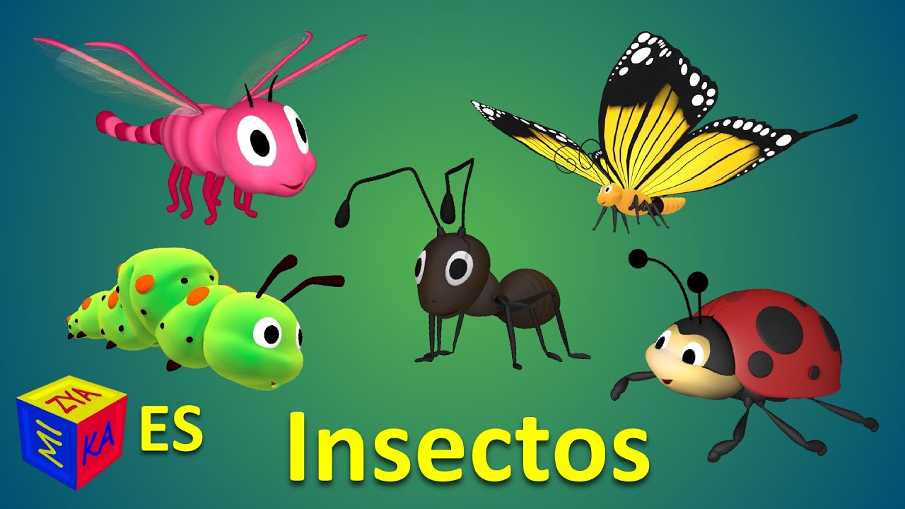 Insectos